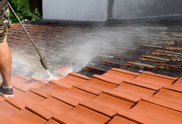 Roof Power Washing Services in New Carlisle, IN